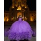 Ball Gown Purple Quinceanera Dresses Ruffled Vestidos De 15 Anos Chandelier Sleeve Sweet 15 Gowns